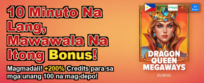 Premium Casino Gaming Experience